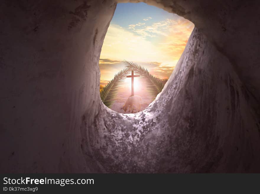 Concept of Jesus entering Jerusalem: Palm leaves on a blue background sky. Concept of Jesus entering Jerusalem: Palm leaves on a blue background sky