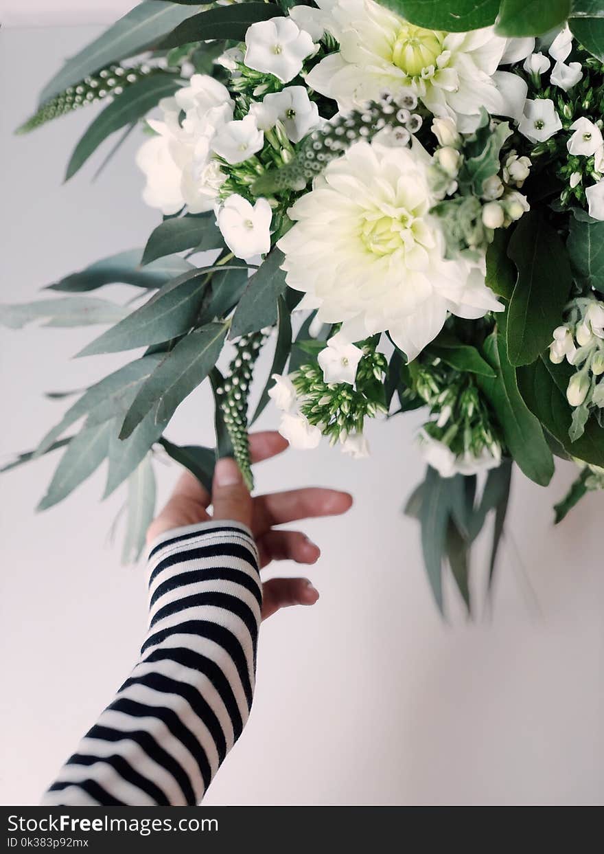 Shallow Focus Photography of White Flowers