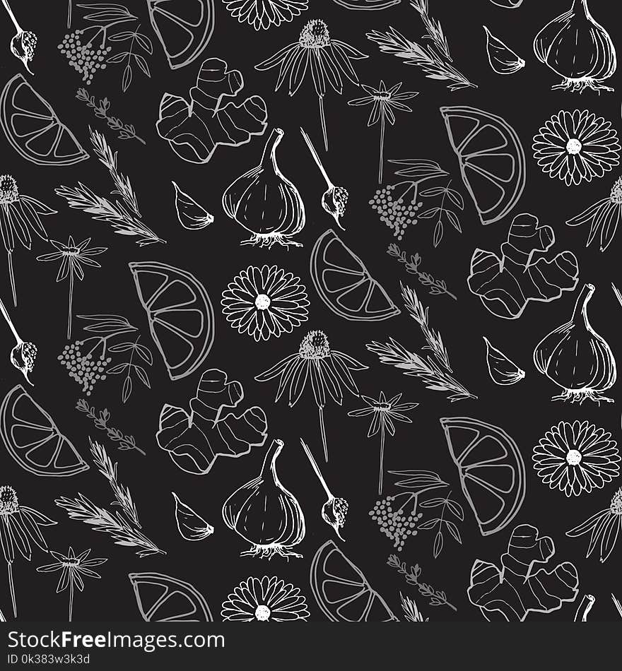 Herbs and medicinal plants seamless pattern Vector hand drawn objects