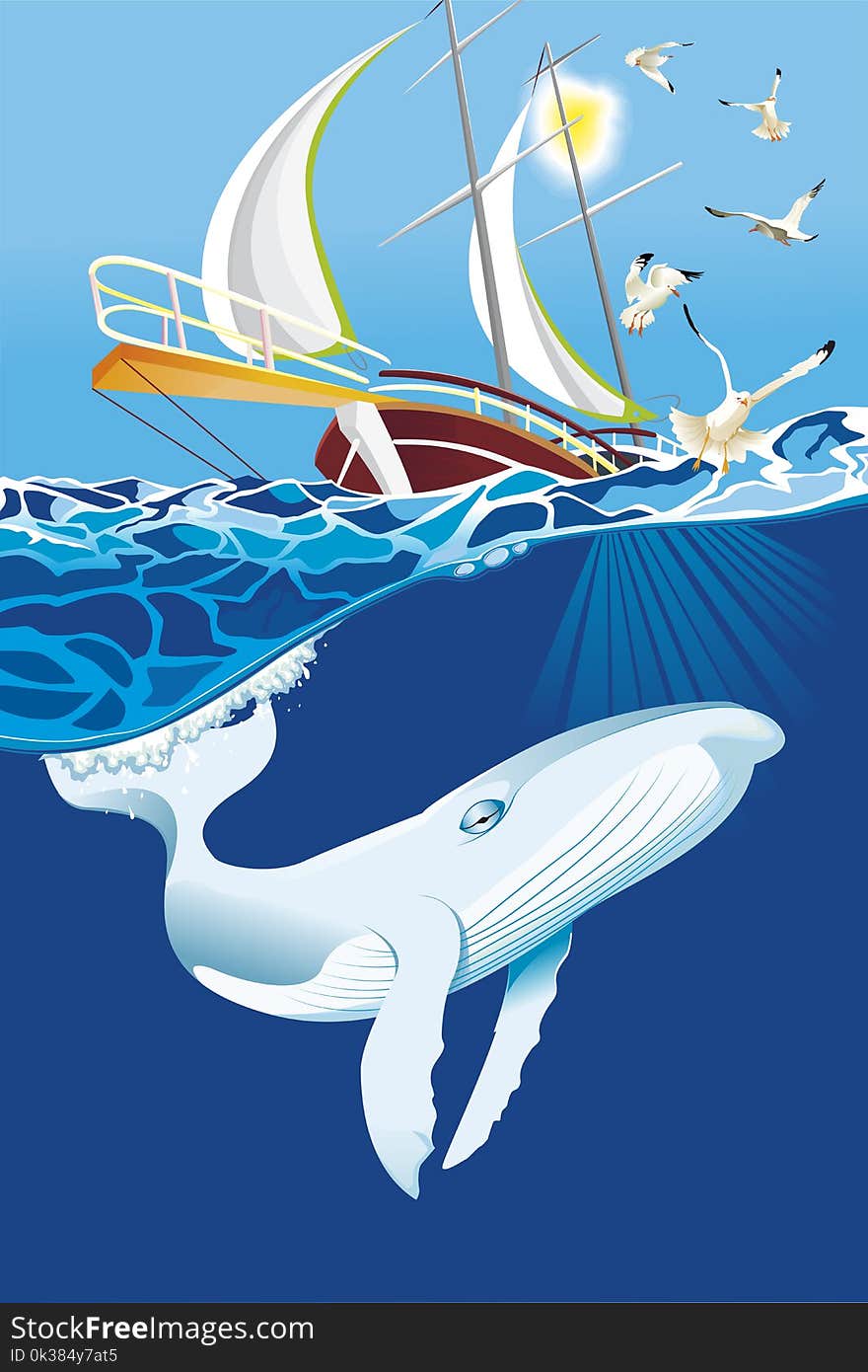 Whale and seagull around a boat