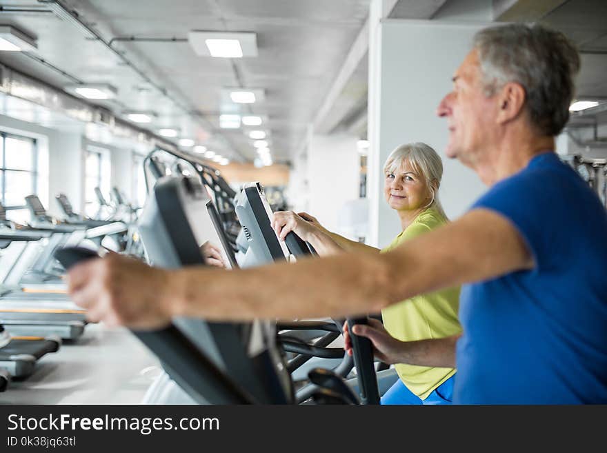 Portrait of happy senior women training on stair stepper at gym. Portrait of happy senior women training on stair stepper at gym