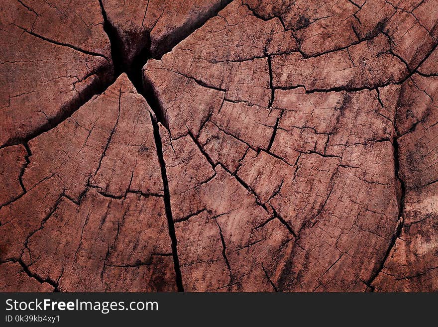 Wooden Wall Background, Texture Of Bark Wood With Old Natural Pattern.