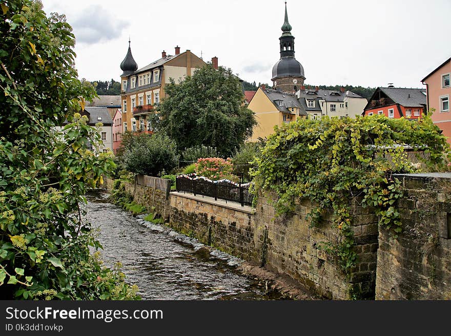 Town, Waterway, Tree, City