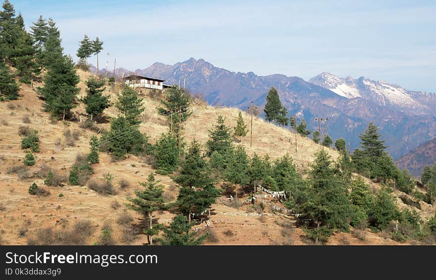 Chaparral, Ecosystem, Wilderness, Ridge