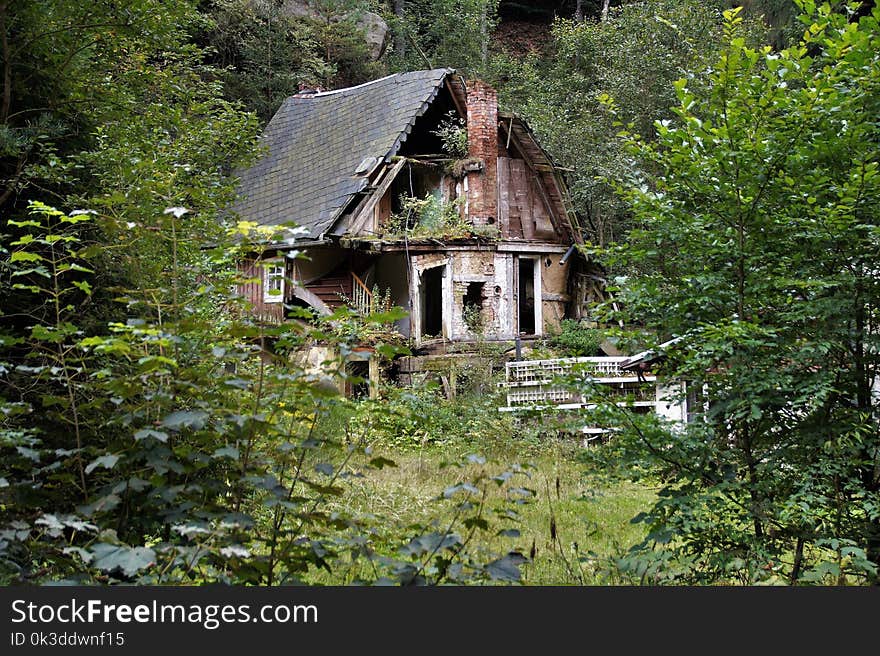 House, Tree, Leaf, Hut