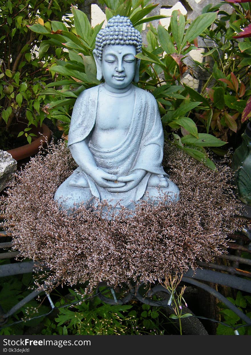 Statue, Sculpture, Garden, Gautama Buddha