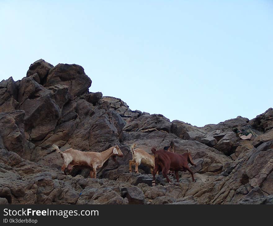 Wilderness, Rock, Sky, Mountain