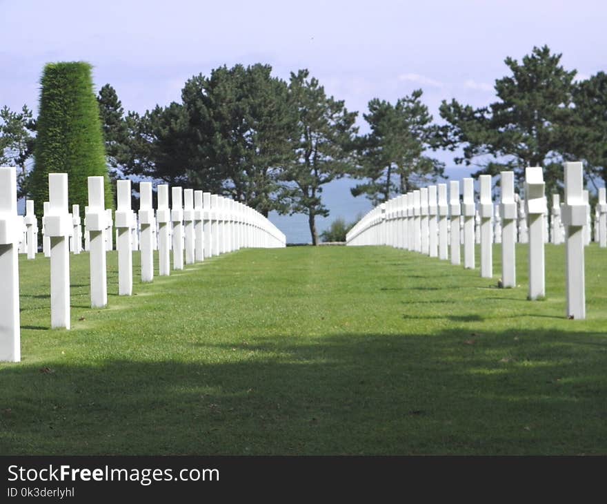 Cemetery, Grass, Tree, Memorial