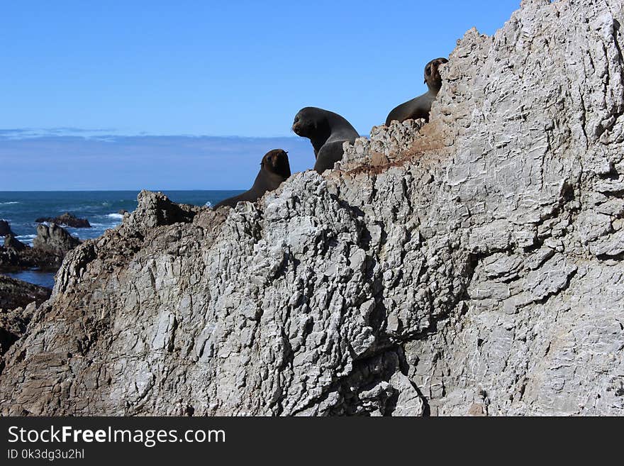 Rock, Promontory, Coast, Cliff