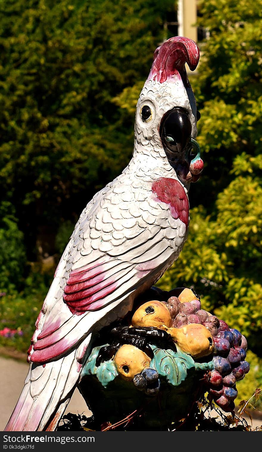 Bird, Fauna, Beak, Feather