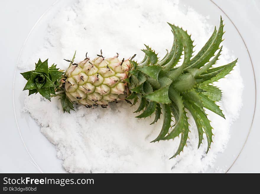 Ananas, Pineapple, Fruit, Plant