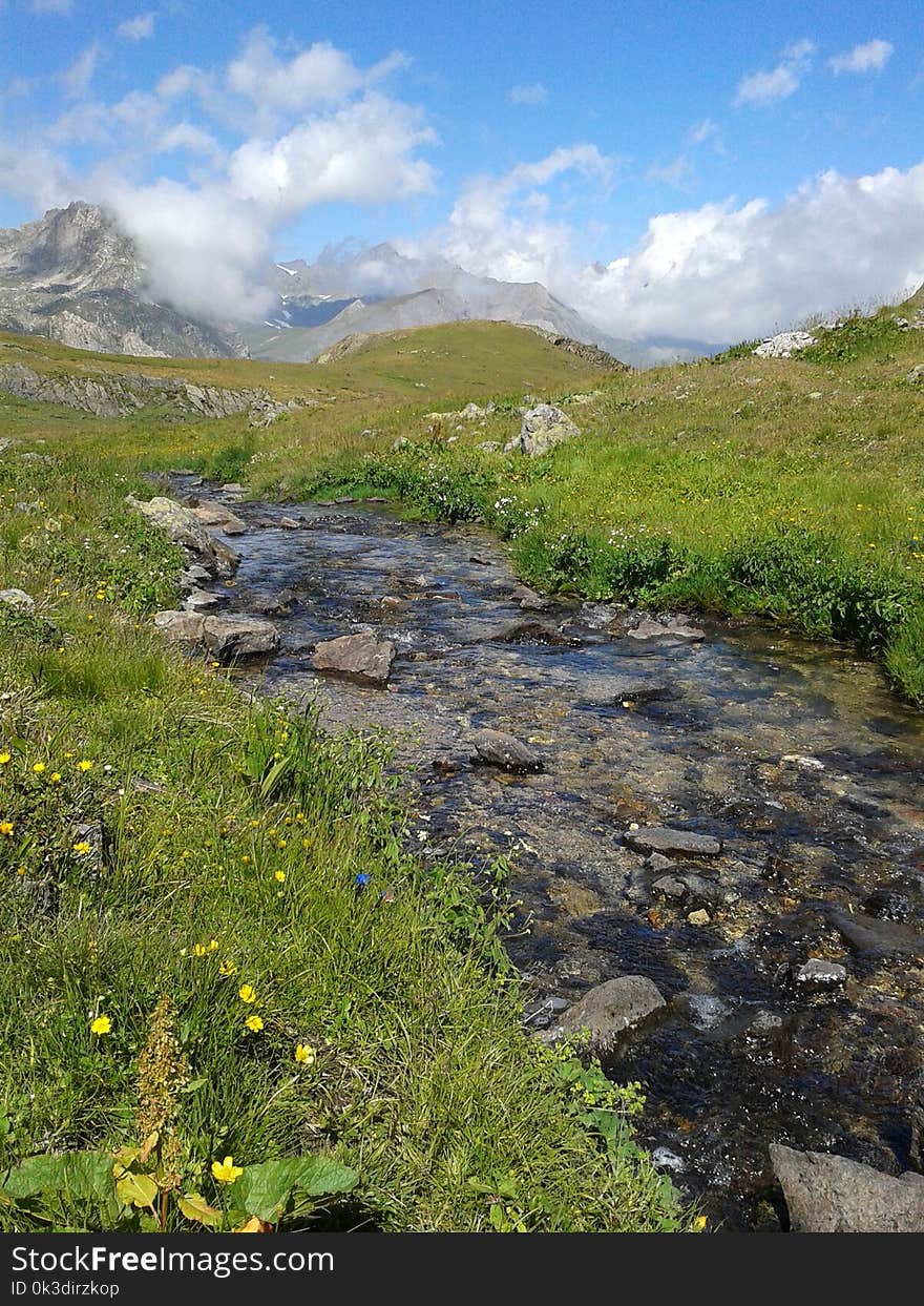 Vegetation, Wilderness, Nature Reserve, Mountain