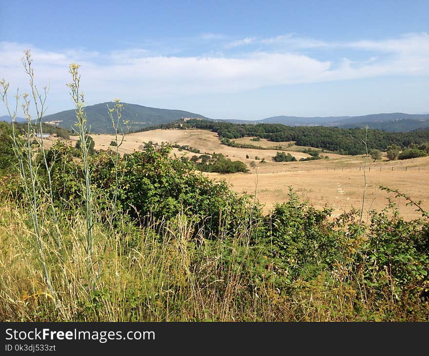 Ecosystem, Grassland, Vegetation, Hill