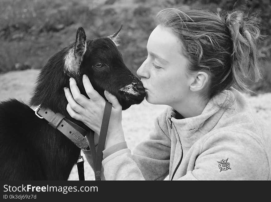 Horse, Photograph, Black And White, Mammal