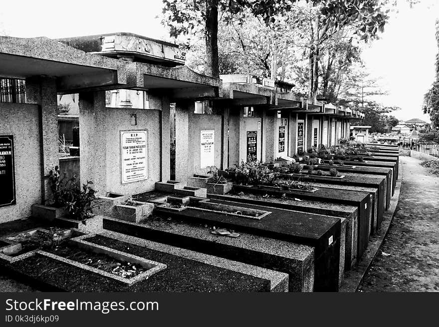 Black And White, Monochrome Photography, Cemetery, Monochrome