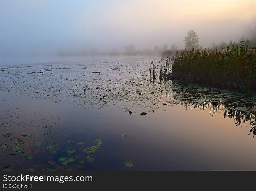 Water, Reflection, Mist, Fog