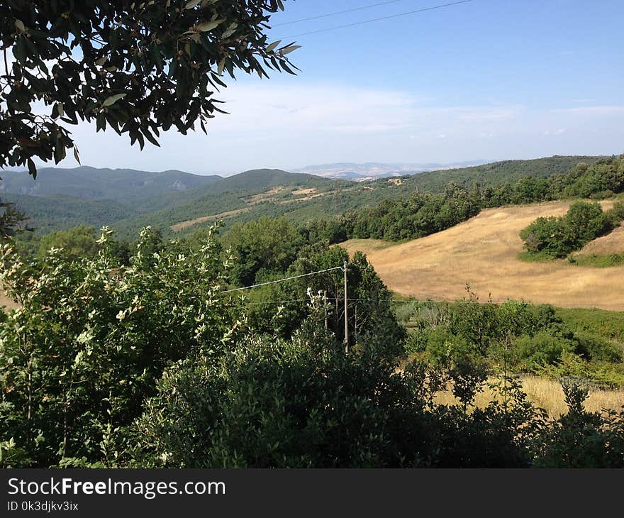 Vegetation, Hill, Nature Reserve, Ecosystem