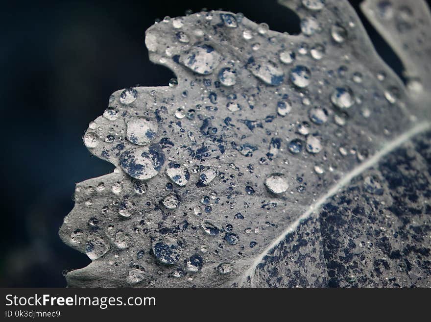 Water, Drop, Freezing, Close Up