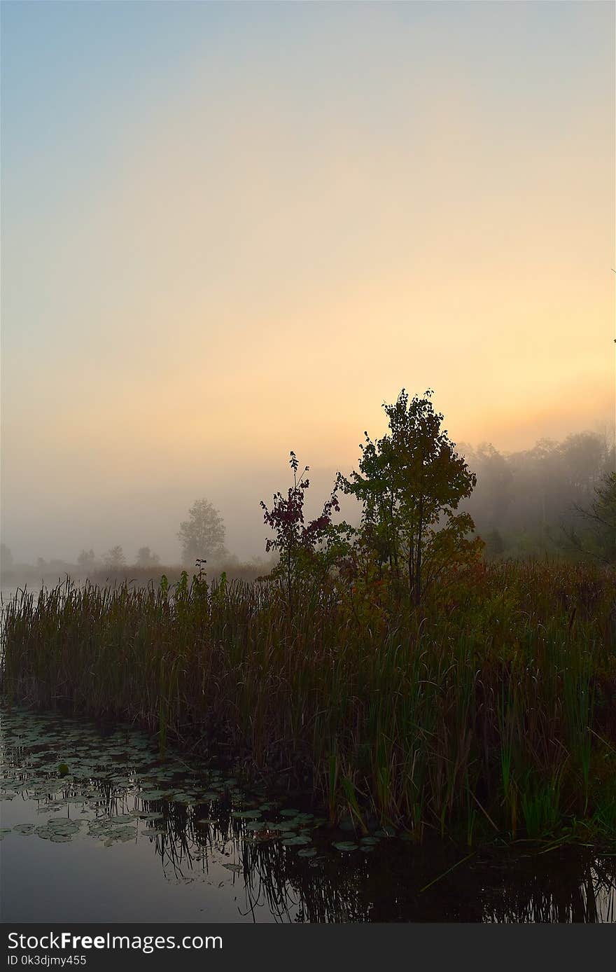 Dawn, Sky, Morning, Sunrise