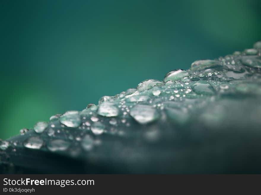 Water, Dew, Drop, Moisture