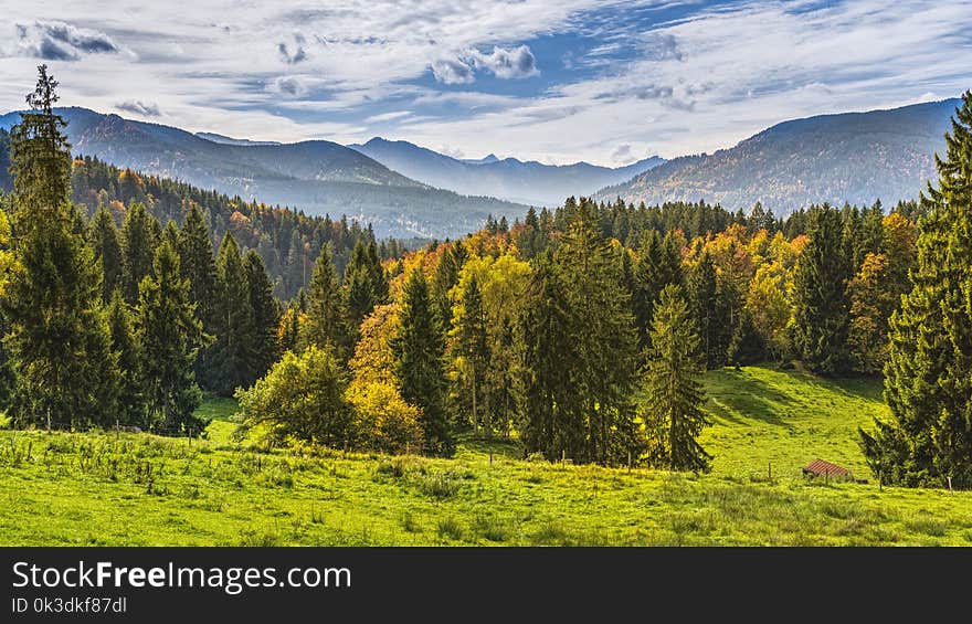 Nature, Ecosystem, Wilderness, Nature Reserve