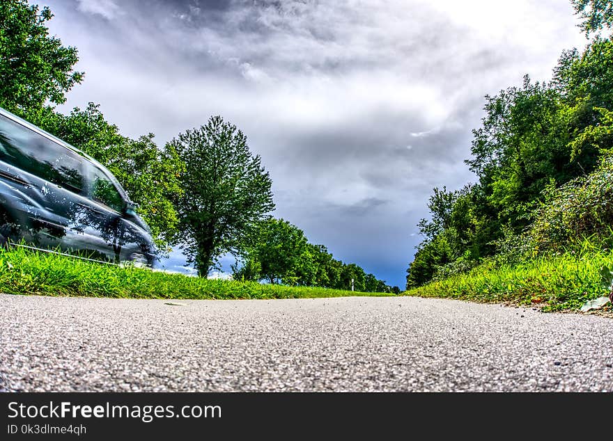 Nature, Road, Sky, Tree