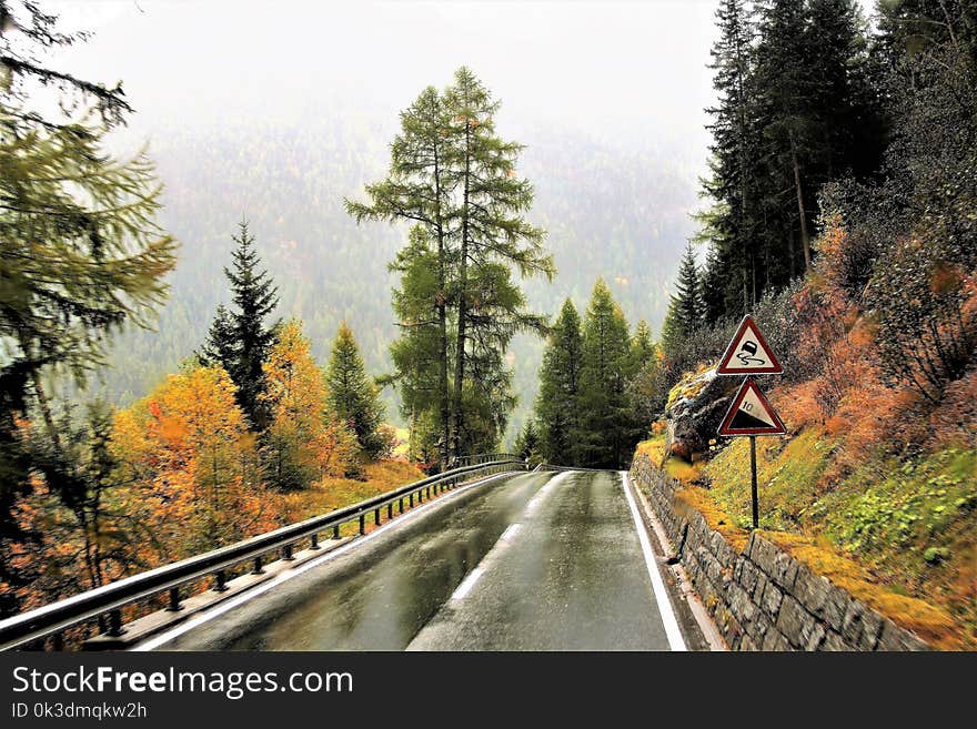 Road, Nature, Path, Infrastructure