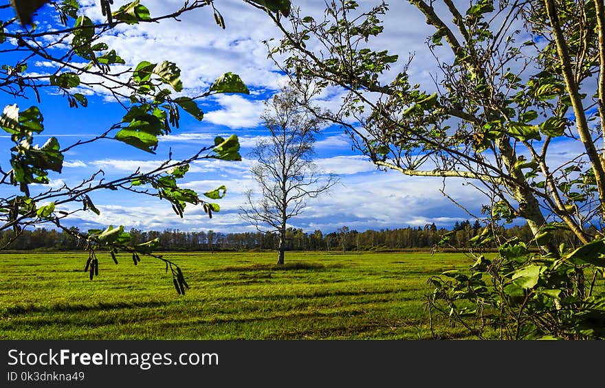 Nature, Grassland, Ecosystem, Sky