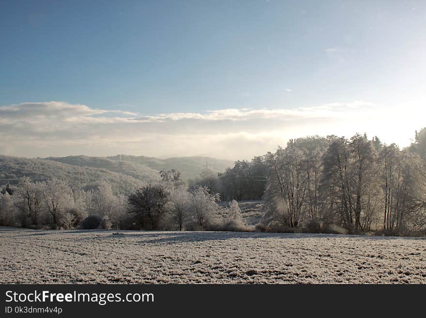 Winter, Sky, Snow, Tree