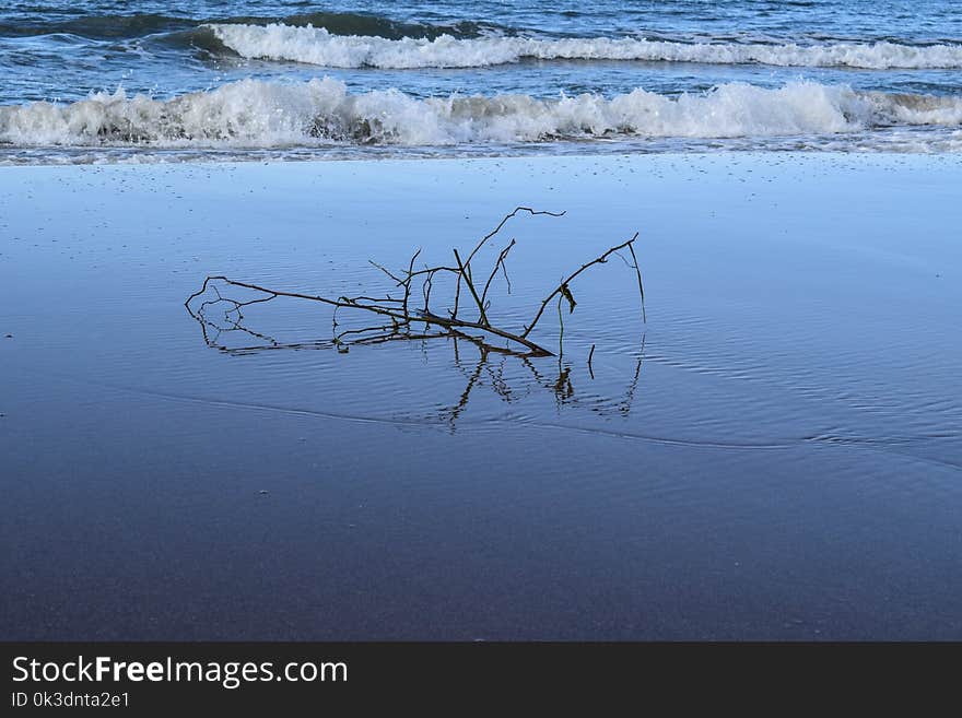 Water, Sea, Reflection, Shore