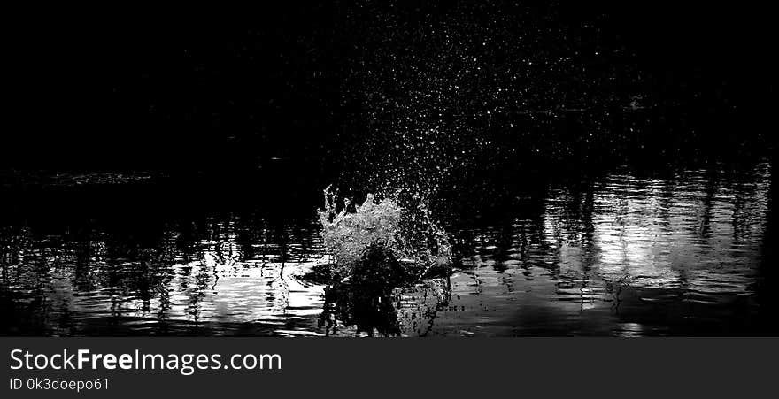 Reflection, Water, Nature, Black