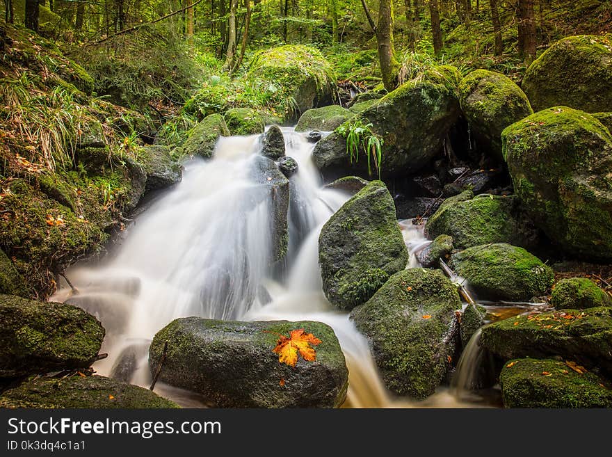 Water, Nature, Waterfall, Stream