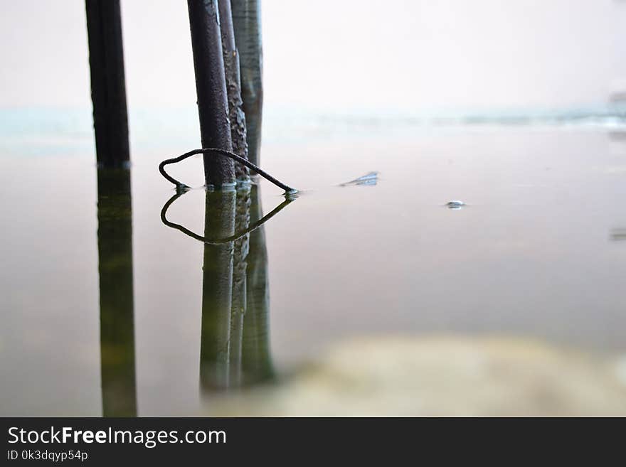 Water, Sea, Sky, Tree