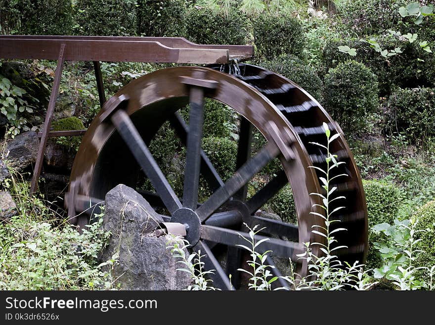 Wheel, Automotive Tire, Tire, Tree