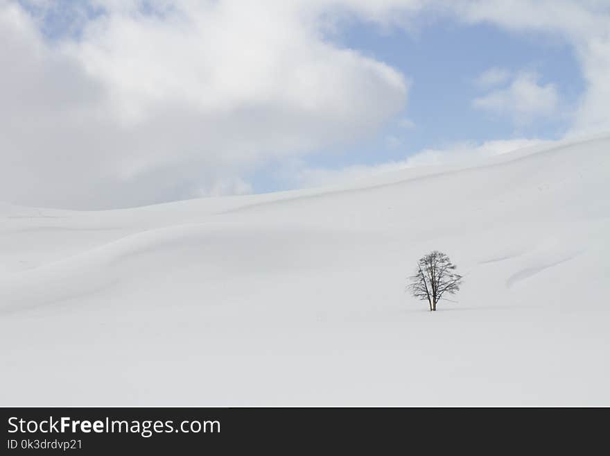 Snow, Sky, Winter, Geological Phenomenon