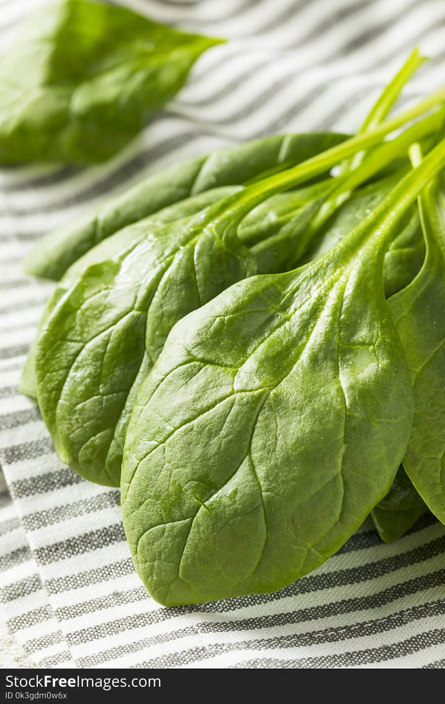 Raw Green Organic Spinach Leaves Ready to Cook