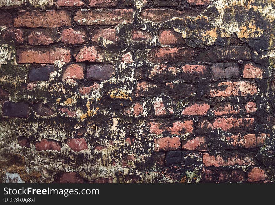 Old red and black ancient bricks texture ,vintage wallpaper have sunlight on wall and dark mold