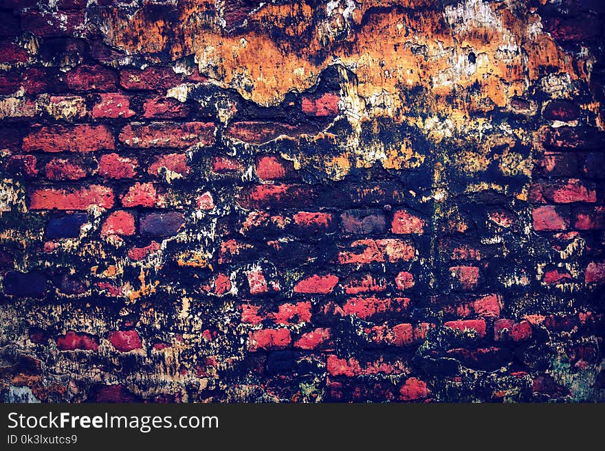 the old red brick wall is covered with mold. Dilapidated wall covered with mold and moss in an abandoned house. Brick wall painted in bright colors