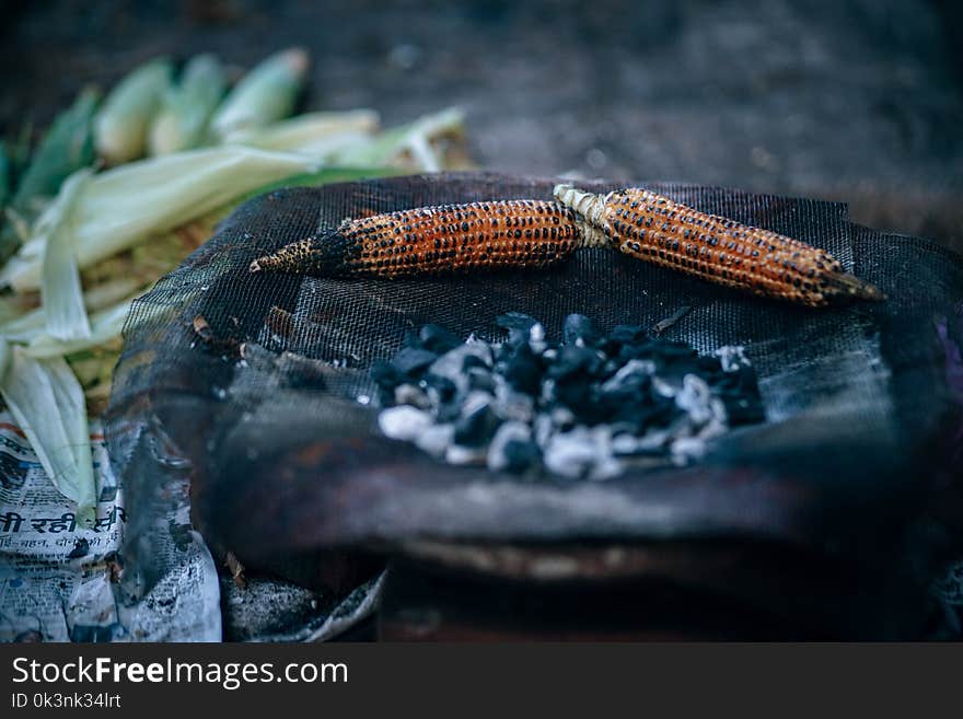 Roasted Corn on Charcoals