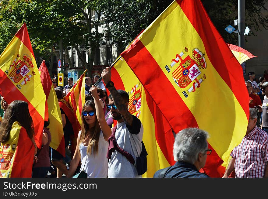 Photo of People Holding Flags