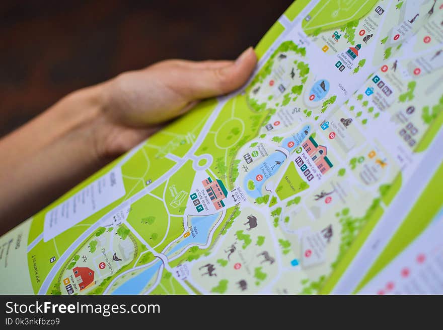 Person Holding City Map