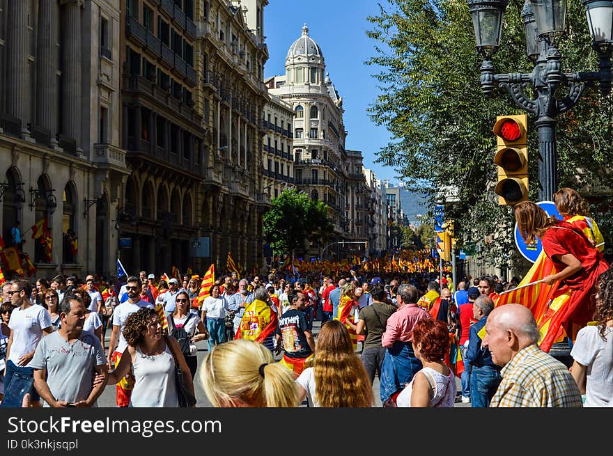 Photo of People Rallying in the Street