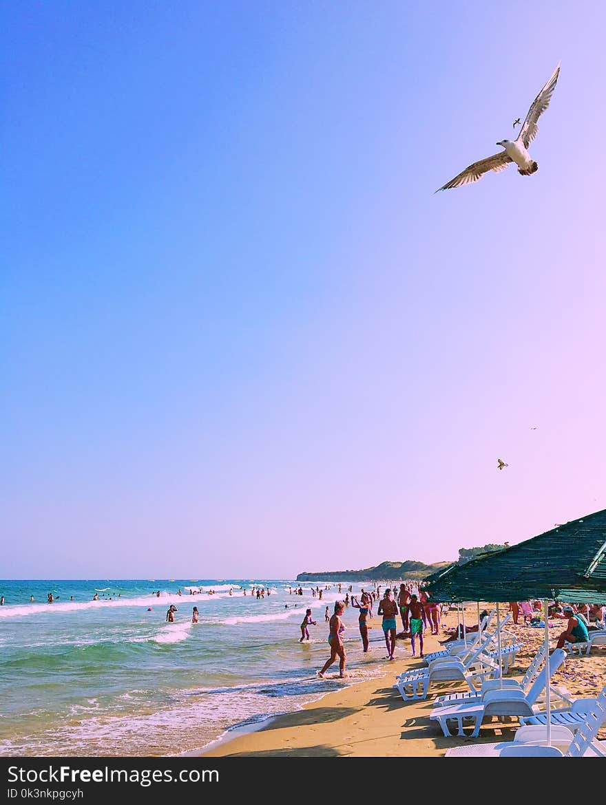 Photo of People at the Beach