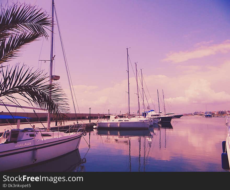 Photo of Sailboats on the Water