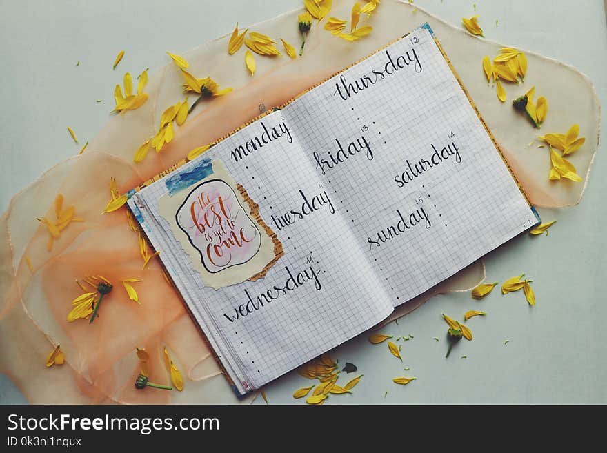 Days Printed Graphing Notebook Surrounded by Yellow Petals