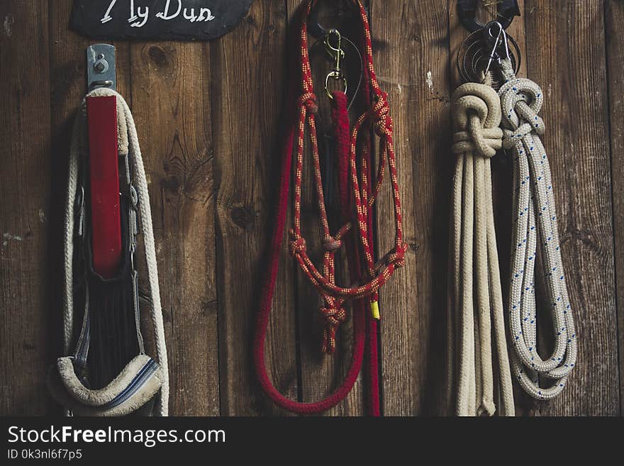 Four Ropes Hanged on Brown Board