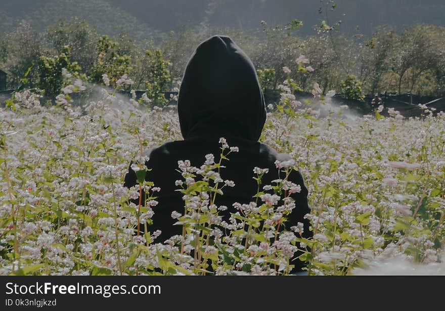 Photo of Person Wearing Black Hoodie Standing On Flower Field