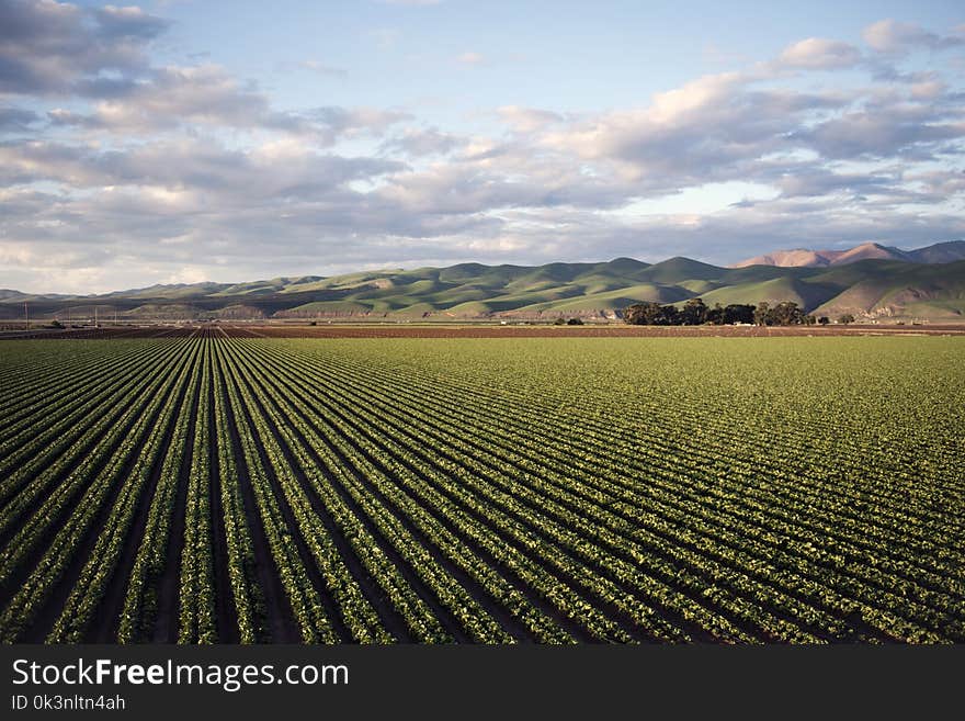 Photo of Green Field Near Mountains