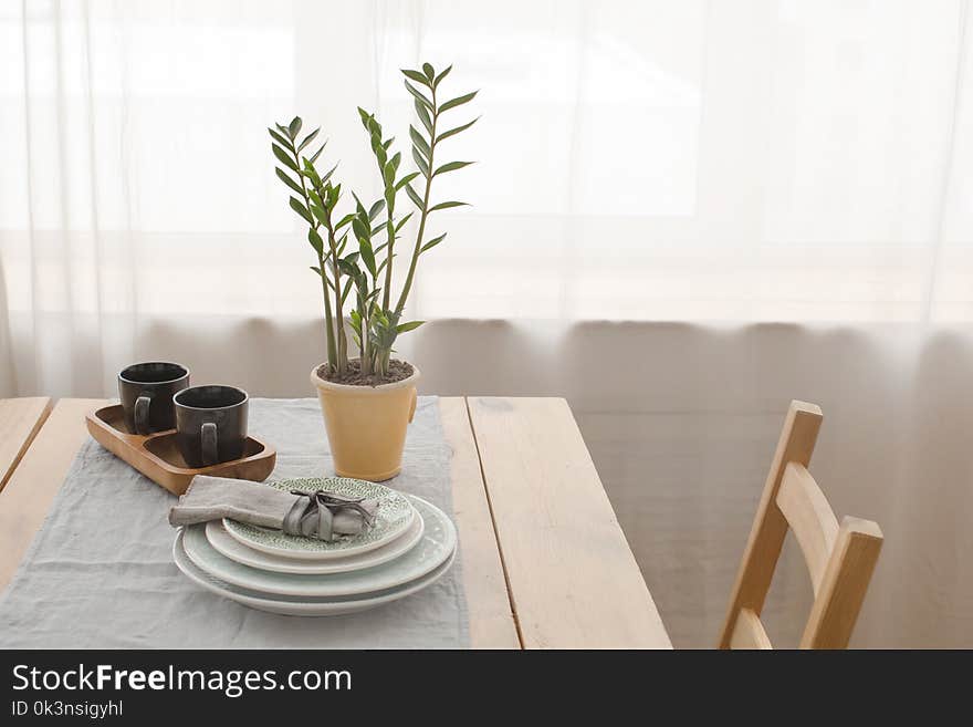 Served table and potted plant