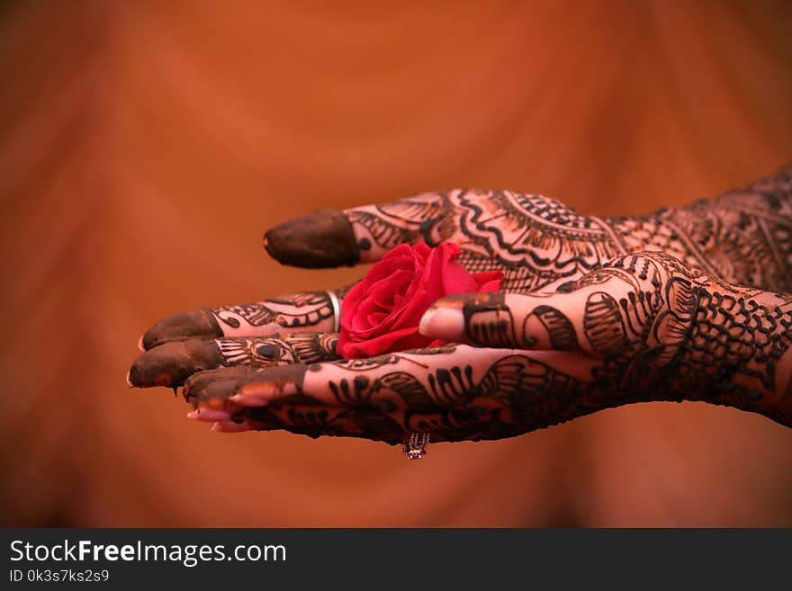 Mehndi is the ritual before wedding when the brides hand is covered with mehndihenna. It is believed that the color of the henna indicates the love between the 2 individuals. This picture was taken during one of my friends wedding. Mehndi is the ritual before wedding when the brides hand is covered with mehndihenna. It is believed that the color of the henna indicates the love between the 2 individuals. This picture was taken during one of my friends wedding.